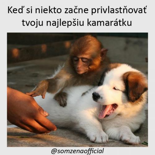  Ta je moje 