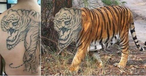  Realistické tetování je realistické 