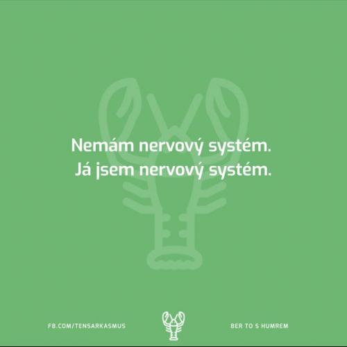  Nervový systém 