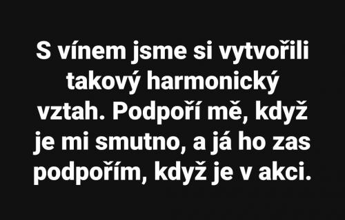 S vínem