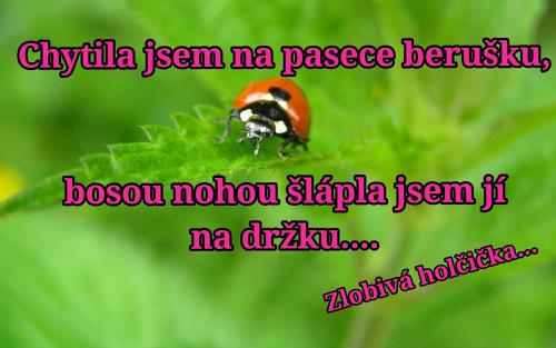 Baruška