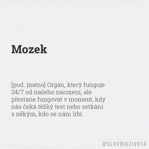  Mozek 