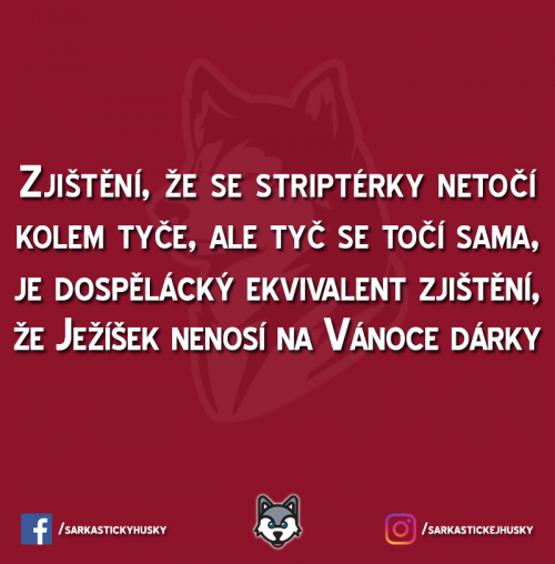  Zjištění 