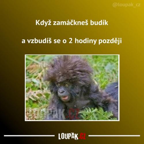 Tohle asi moc nepotěšilo