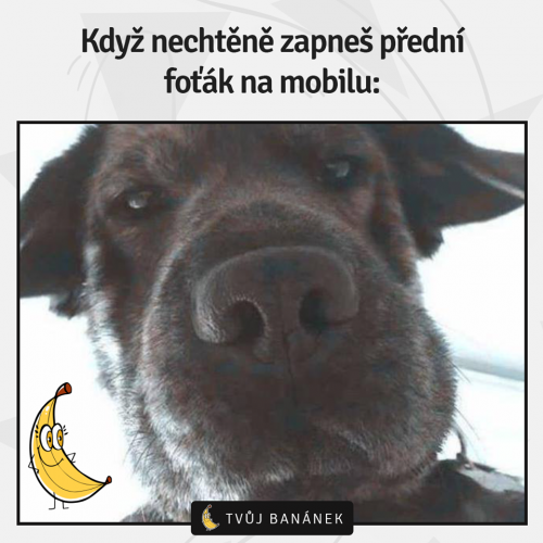Fo'ták