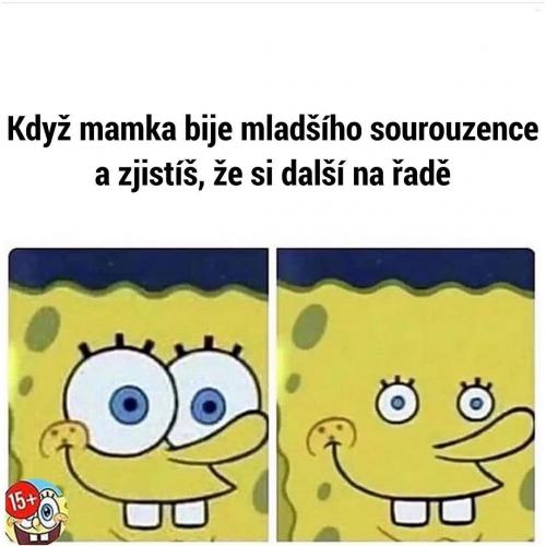  Zjištění 