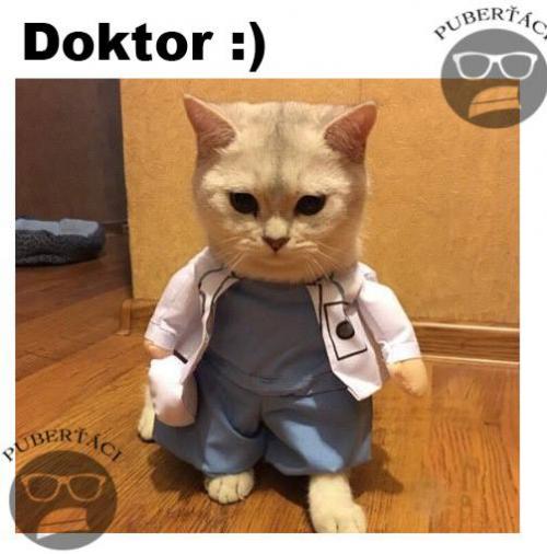  Doktor 