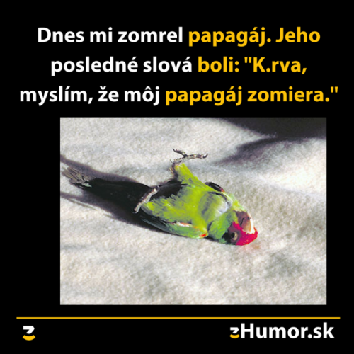 Papgáj