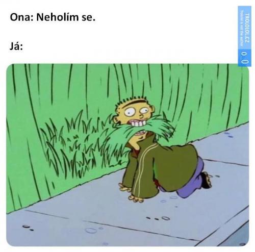 Neholím se