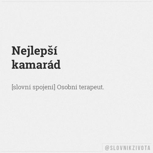  Kamarád 