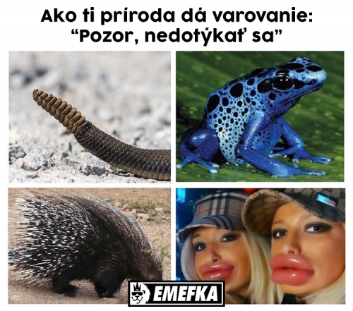  Varování 