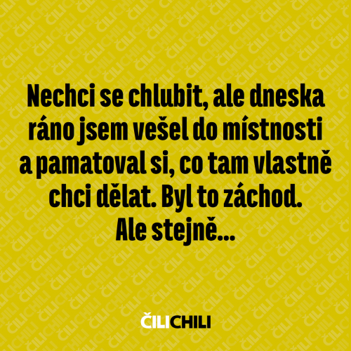 Nechci se chlubit