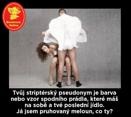 SPtriptérský