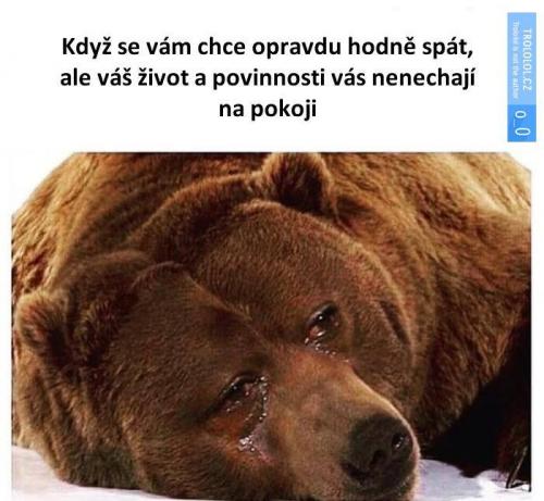  Hodně spát 