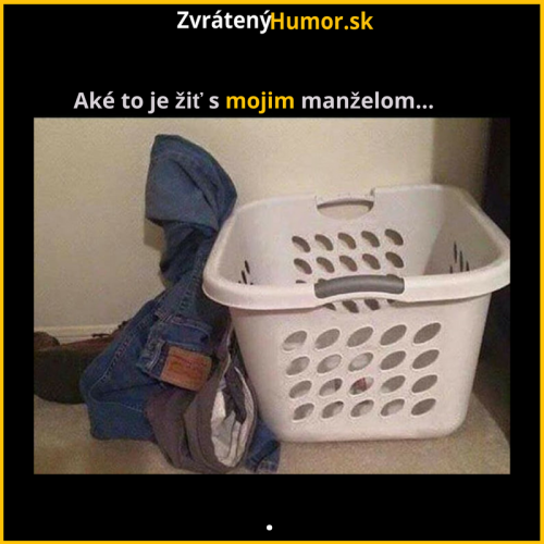  Manžel 