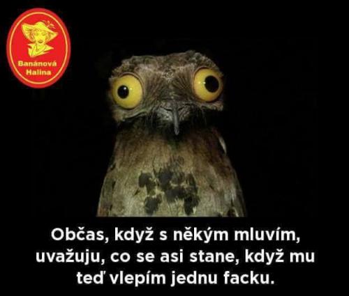 Mluvím