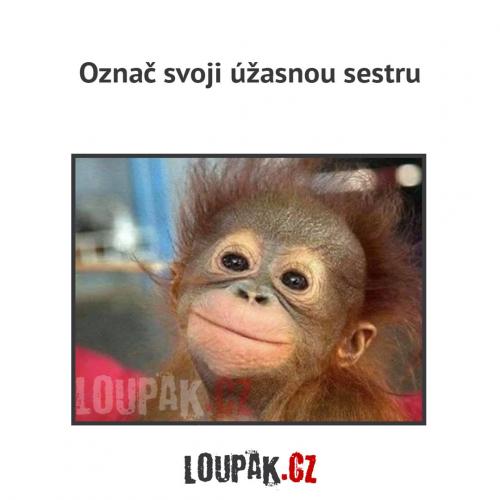 Označ sestru