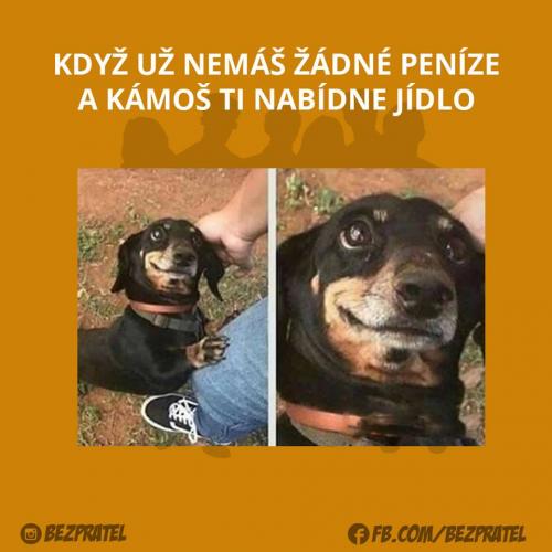  Peníze 