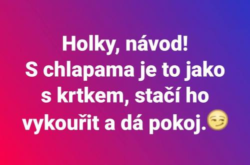  Holky, návod 