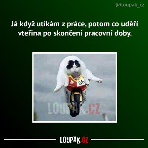  Práce 