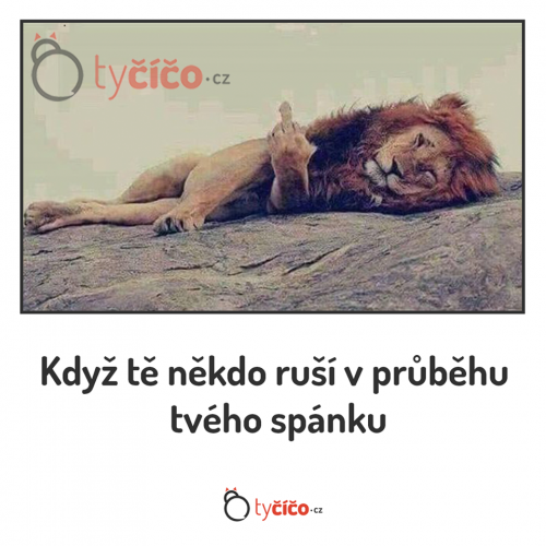  Když tě někdo ruší 