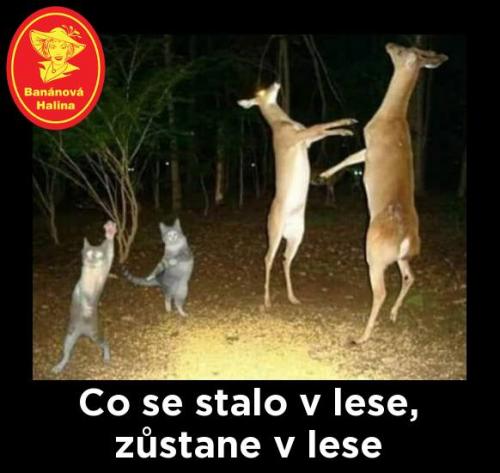 Zůstaň