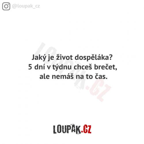  Dospělost 