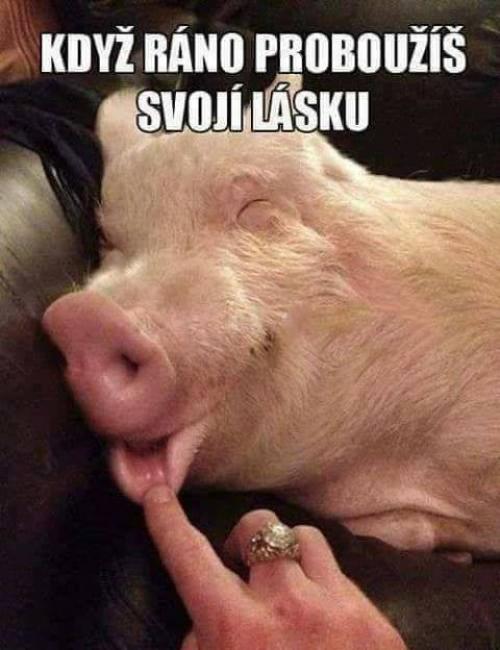  Láska 