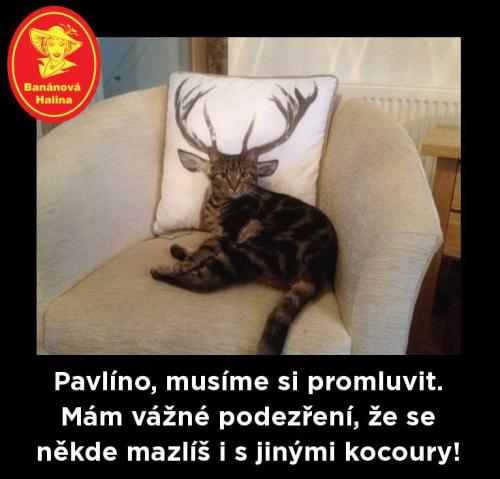 Pavlíno