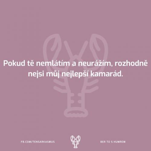 Nemlátím