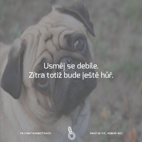 Usměj se