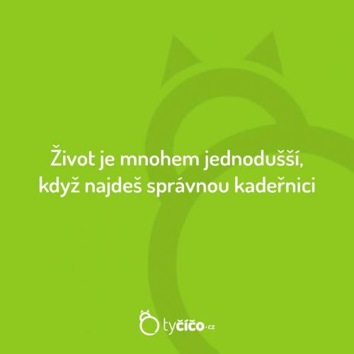 To teda je