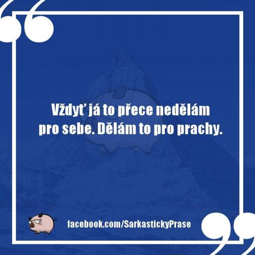 Nedělám