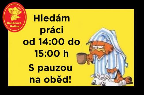  Práce 