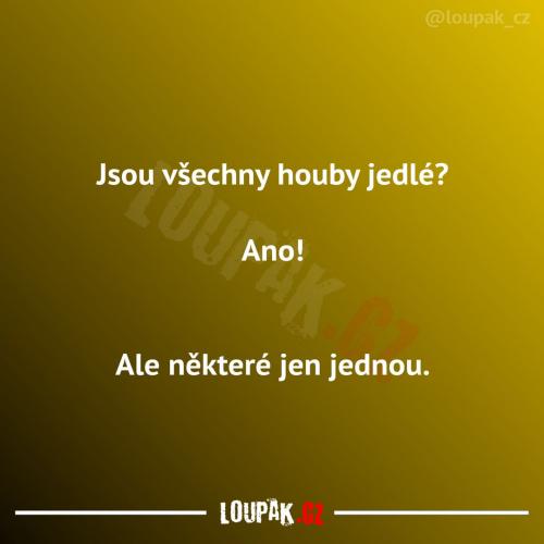  Je to něco dobrého 