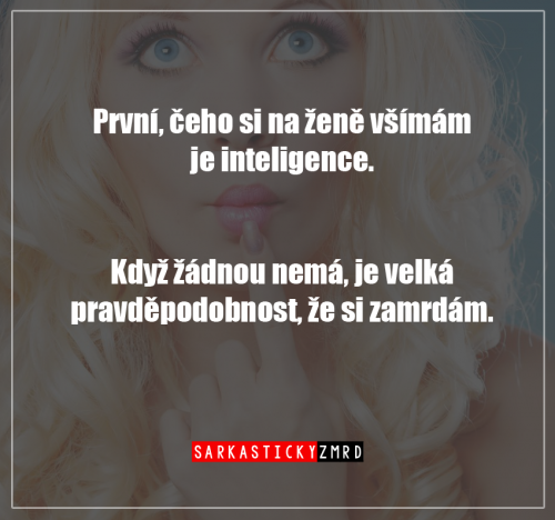  Inteligence 