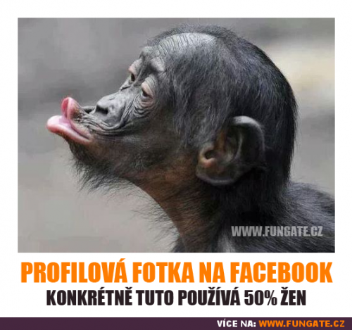 Facebooky