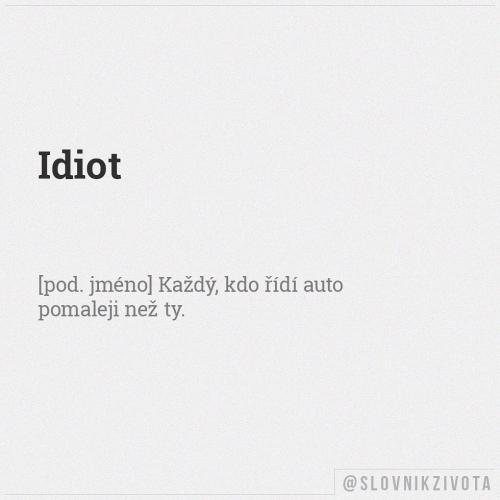  Idiot 