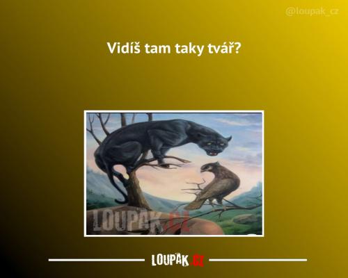  Tohle musí vidět každý 