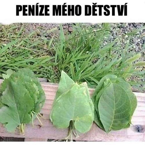  Peníze 