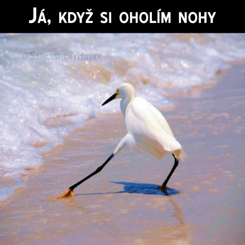 Znáte
