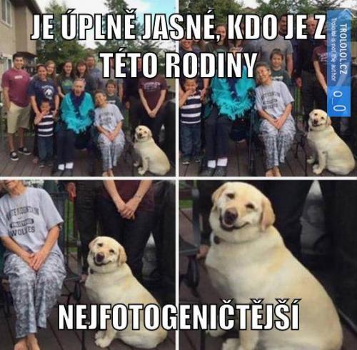 Nejfotogeničtější