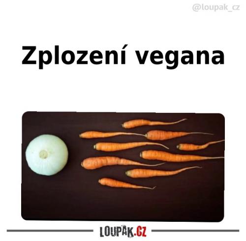 Jak vypadá zplození vegana