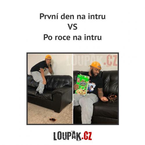 Po intru