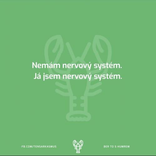  Nervový systém 