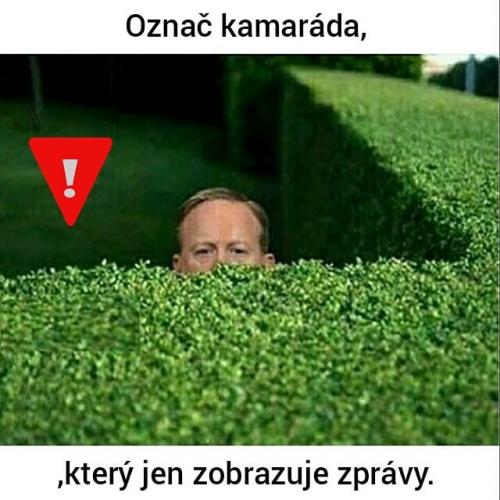 Zobrazeno