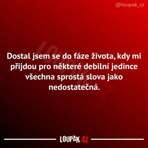 Nedostatečná