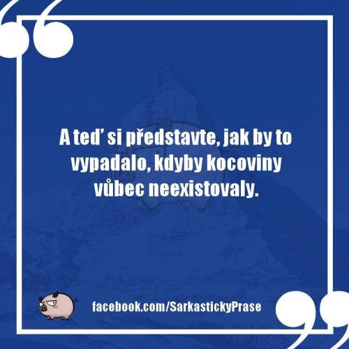  Představa 