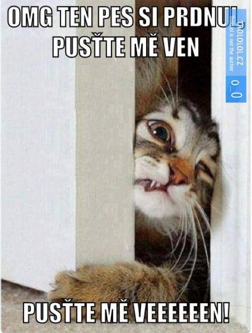 Veen