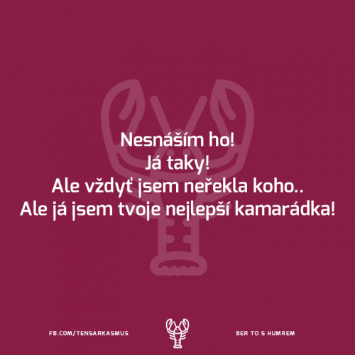 Nesnáším ho!